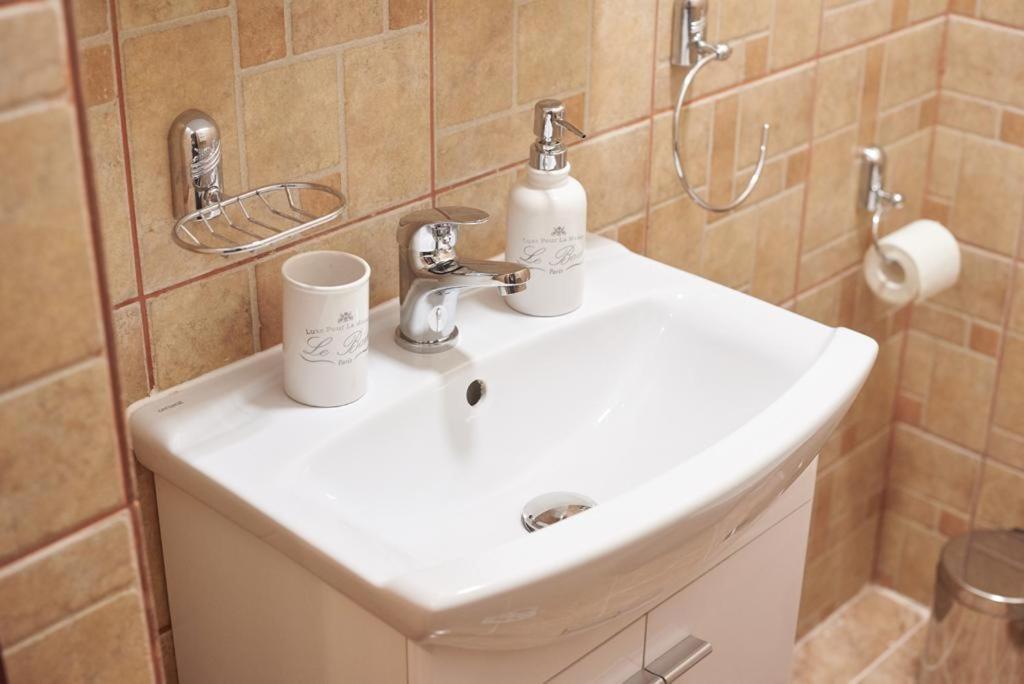 Dom Unirii Apartment Тімішоара Екстер'єр фото
